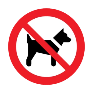 Panneau d'interdiction ISO 7010 P021 chiens interdits – signalétique d'interdiction à Sierre dans le canton du Valais (Suisse)